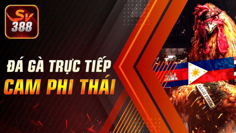 Link đá gà trực tuyến sv388